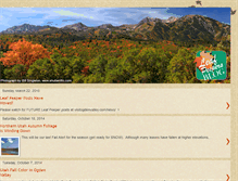 Tablet Screenshot of leaf-peeper.blogspot.com