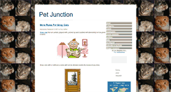 Desktop Screenshot of petjunction.blogspot.com