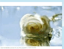 Tablet Screenshot of insaeculacatherine.blogspot.com
