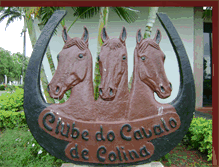 Tablet Screenshot of clubedocavalodecolina.blogspot.com