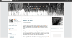 Desktop Screenshot of briefcaseradical.blogspot.com