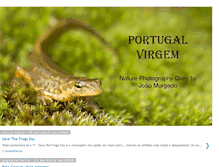 Tablet Screenshot of portugalvirgem.blogspot.com