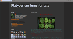 Desktop Screenshot of platyceriumfernsforsale.blogspot.com
