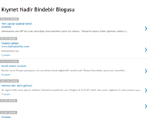 Tablet Screenshot of kiymetnadirbindebirblogu.blogspot.com