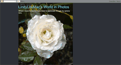 Desktop Screenshot of lindyloumacsworldinphotos.blogspot.com