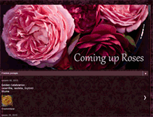 Tablet Screenshot of nijola-rozes.blogspot.com