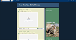 Desktop Screenshot of best-american-bobtail-videos.blogspot.com
