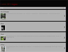 Tablet Screenshot of leicainspiration.blogspot.com