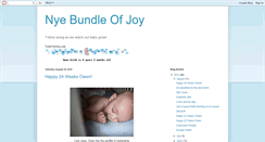 Desktop Screenshot of nyebundleofjoy.blogspot.com