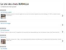 Tablet Screenshot of burmilla.blogspot.com