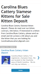 Mobile Screenshot of kittendeposit.blogspot.com