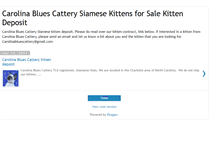 Tablet Screenshot of kittendeposit.blogspot.com