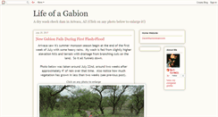 Desktop Screenshot of gabion.blogspot.com