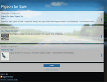 Tablet Screenshot of pigeonforsale.blogspot.com