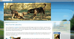 Desktop Screenshot of laceandtwill.blogspot.com