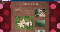 Desktop Screenshot of johnsonlabs.blogspot.com