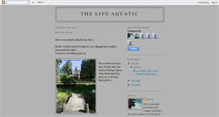Desktop Screenshot of divemasterdiaries.blogspot.com