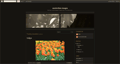 Desktop Screenshot of amsterdamdailyimages.blogspot.com