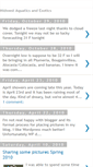 Mobile Screenshot of midwestaquaticsandexotics.blogspot.com