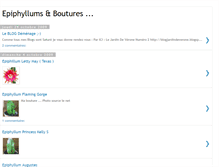 Tablet Screenshot of epiphyllums-verone.blogspot.com
