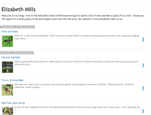 Tablet Screenshot of elizabethmills.blogspot.com
