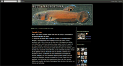 Desktop Screenshot of bettamacrostoma.blogspot.com