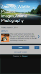 Mobile Screenshot of amazingwildlifepictures.blogspot.com