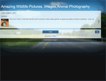 Tablet Screenshot of amazingwildlifepictures.blogspot.com