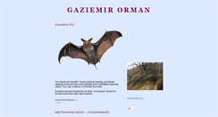 Desktop Screenshot of gaziemir-orman.blogspot.com