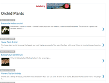 Tablet Screenshot of myorchidplants.blogspot.com