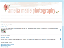 Tablet Screenshot of ameliamariephotography.blogspot.com