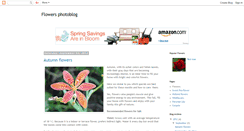 Desktop Screenshot of flowersphotoblog.blogspot.com
