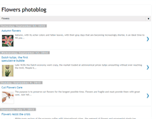 Tablet Screenshot of flowersphotoblog.blogspot.com