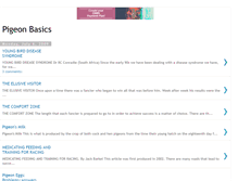 Tablet Screenshot of pigeonbasics.blogspot.com