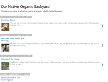 Tablet Screenshot of nativebackyard.blogspot.com