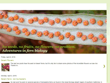 Tablet Screenshot of noseeds.blogspot.com