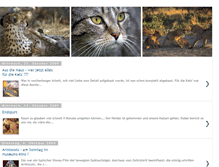 Tablet Screenshot of katzen-kassel.blogspot.com