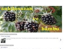 Tablet Screenshot of ankilosazan.blogspot.com