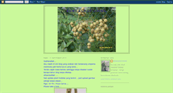 Desktop Screenshot of bhmnagrofishing.blogspot.com