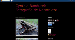 Desktop Screenshot of cynthiabandurekfotografia.blogspot.com