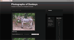 Desktop Screenshot of donkeyphotos.blogspot.com