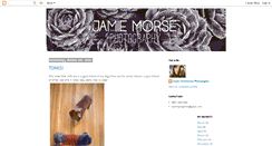 Desktop Screenshot of jamiechristensenphoto.blogspot.com