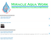 Tablet Screenshot of miracleaquawork.blogspot.com