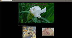 Desktop Screenshot of noprogramm.blogspot.com