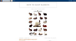 Desktop Screenshot of keepingrabbits.blogspot.com