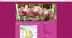 Desktop Screenshot of andreacumsille.blogspot.com