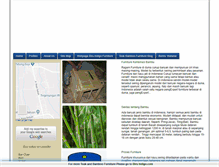 Tablet Screenshot of biruindigo-furniture.blogspot.com