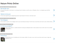 Tablet Screenshot of natureprints.blogspot.com