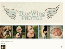 Tablet Screenshot of bluewingphotos.blogspot.com