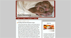 Desktop Screenshot of littlebabyhamsters.blogspot.com